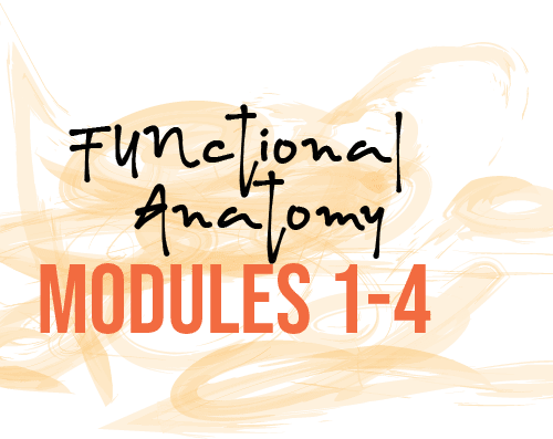 FUNctional Anatomy Online Course