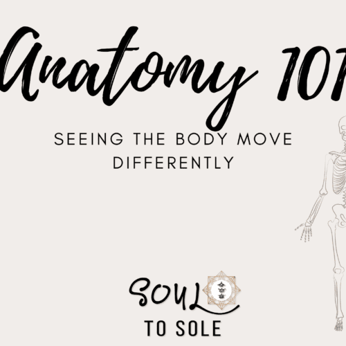 Anatomy 101: A Self-Study Course